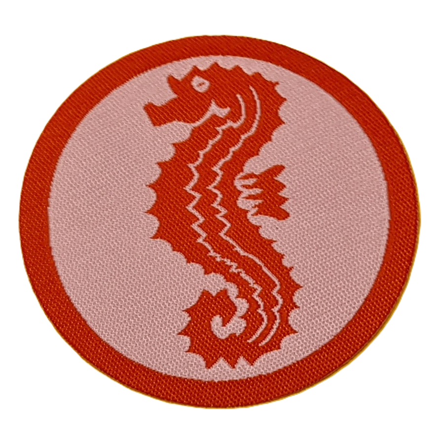 Schwimmabzeichen Seepferdchen